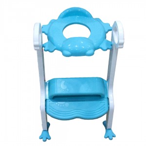 Bathroom chair with ladder