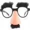 Funny glasses for a big nose with eyebrows and mustache