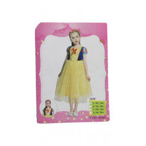 Princess fancy dress costume