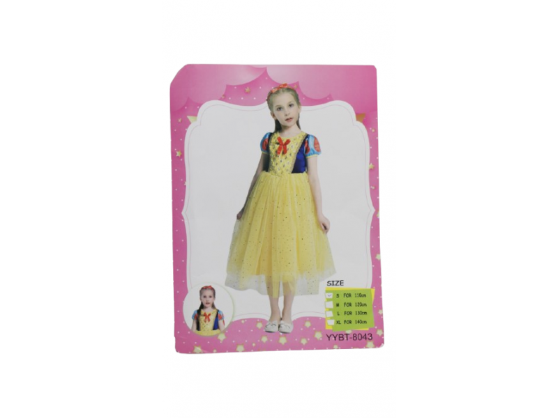 Princess fancy dress costume