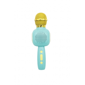 Karaoke microphone