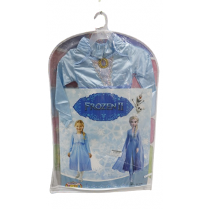 Frozen Costume