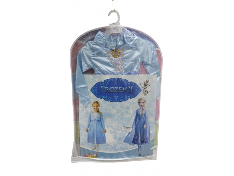 Frozen Costume