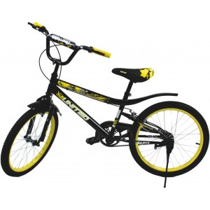 20 inch bike
