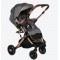 wo-way reversible stroller