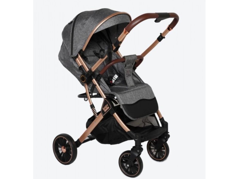 wo-way reversible stroller