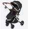 wo-way reversible stroller