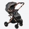 wo-way reversible stroller