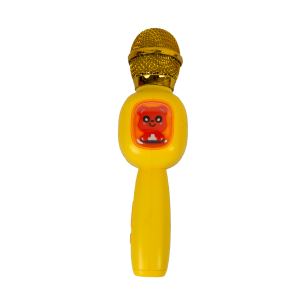 Microphone with lights, music, and voice filters