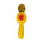 Microphone with lights, music, and voice filters