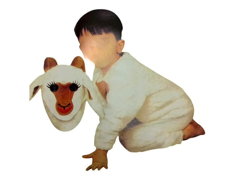 لباس تنكري على شكل خاروف 