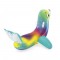 Seal-themed swimming floats
